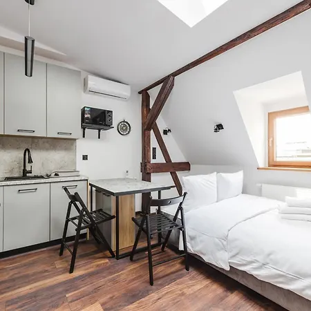 Rynek Jezycki Roof Loft פוזנן
