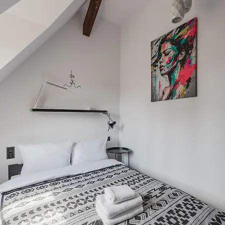 Rynek Jezycki Roof Loft شقة بوزنان